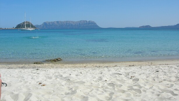 A beach with clear turquoise water, a sailboat, and distant rocky formations. - King's Hotel (Golfo Aranci)