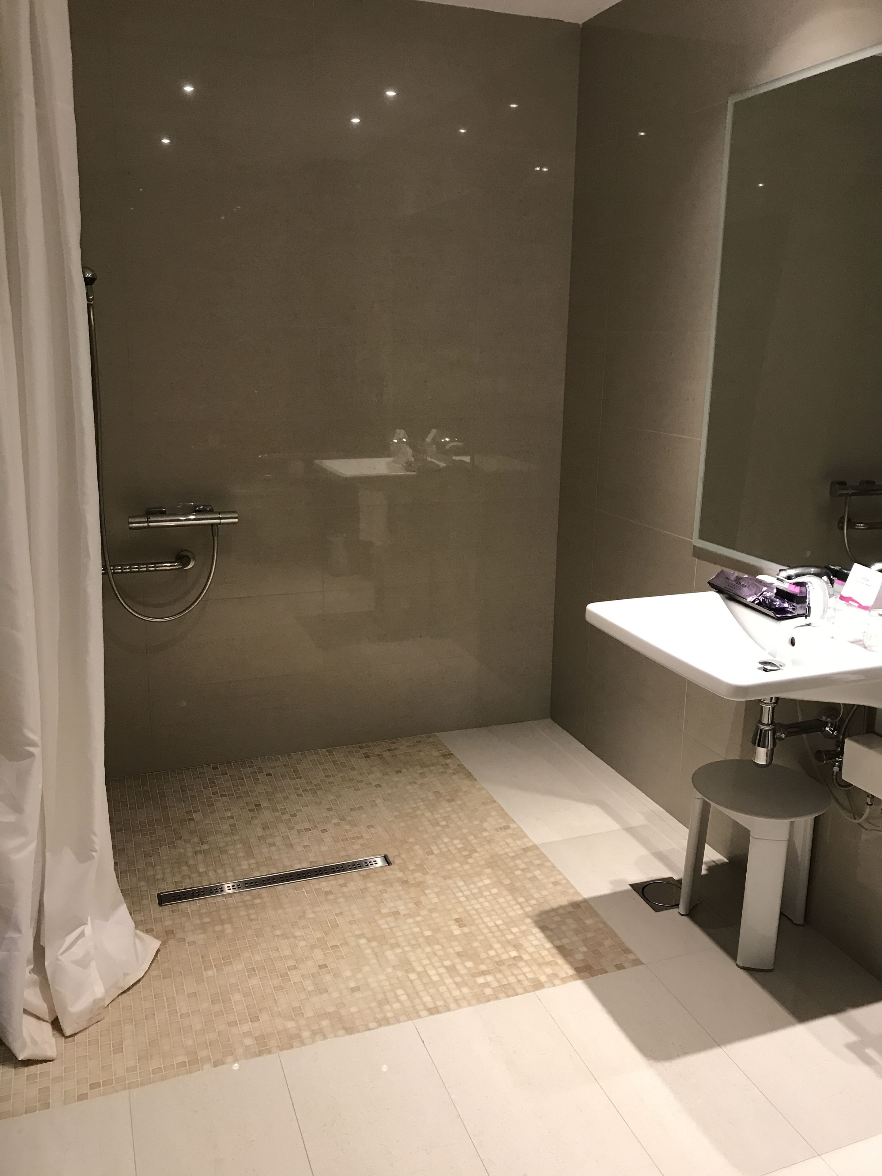 double room, accessible | bathroom shower