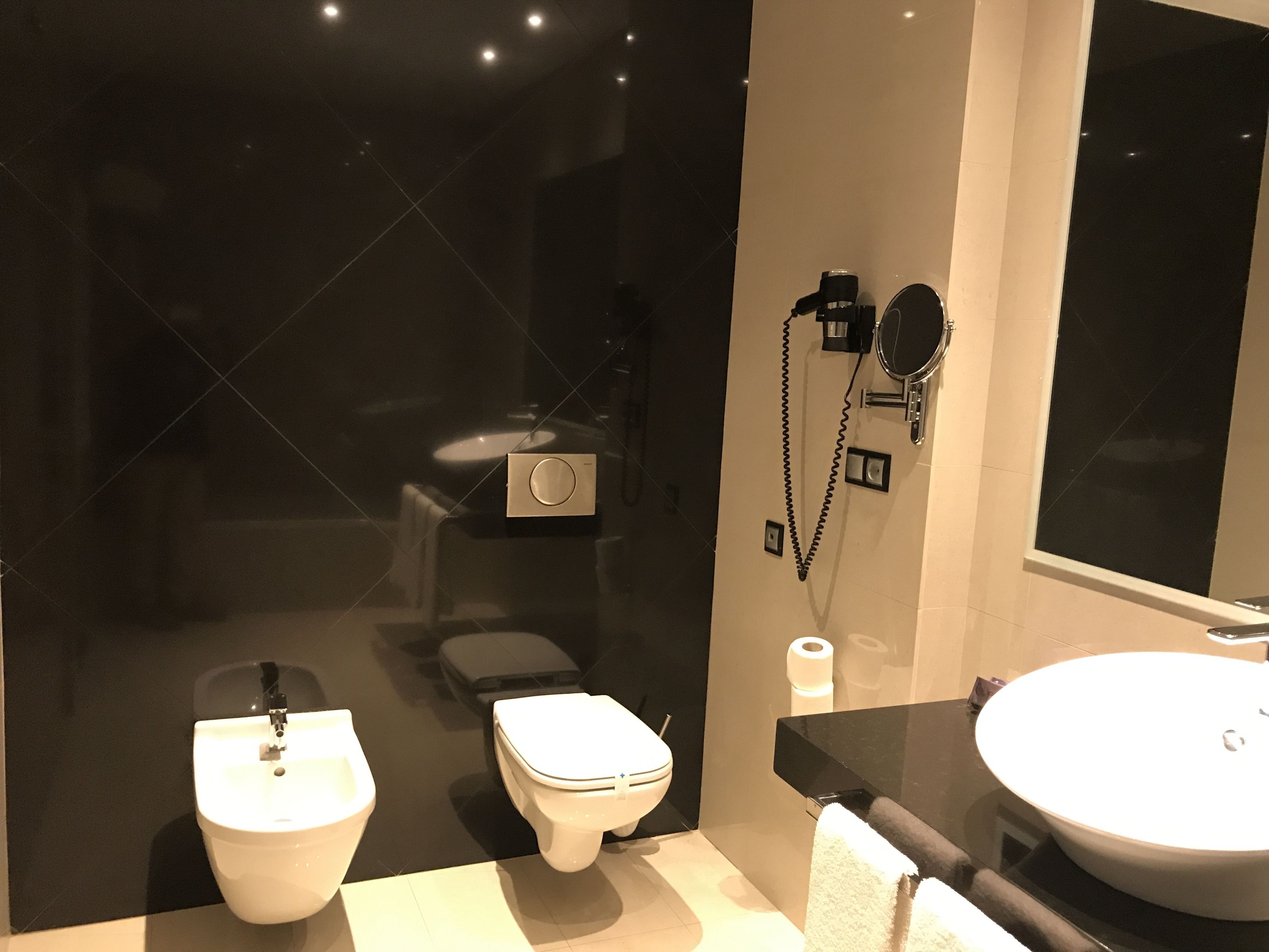 shower, free toiletries, hair dryer, bidet