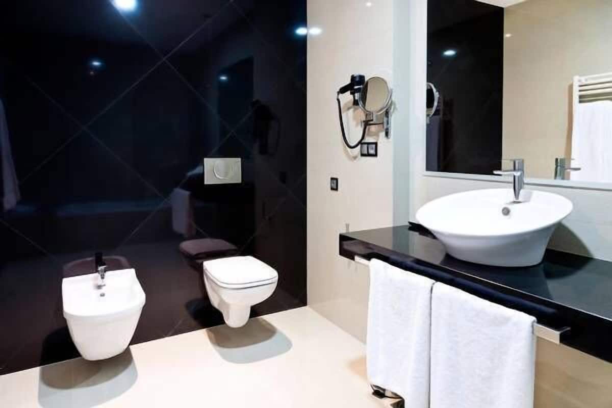 standard double or twin room | bathroom | shower, free toiletries, hair dryer, bidet