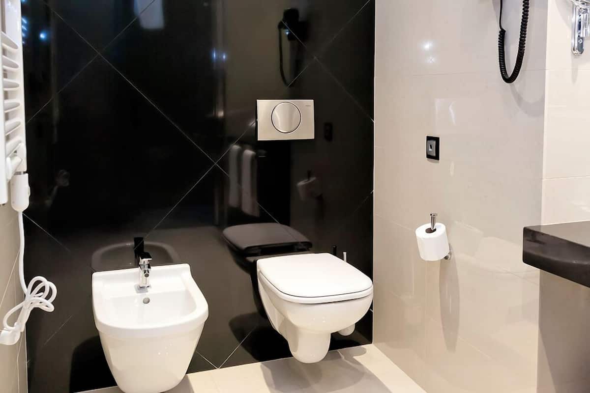 double room (small ) | bathroom | shower, free toiletries, hair dryer, bidet