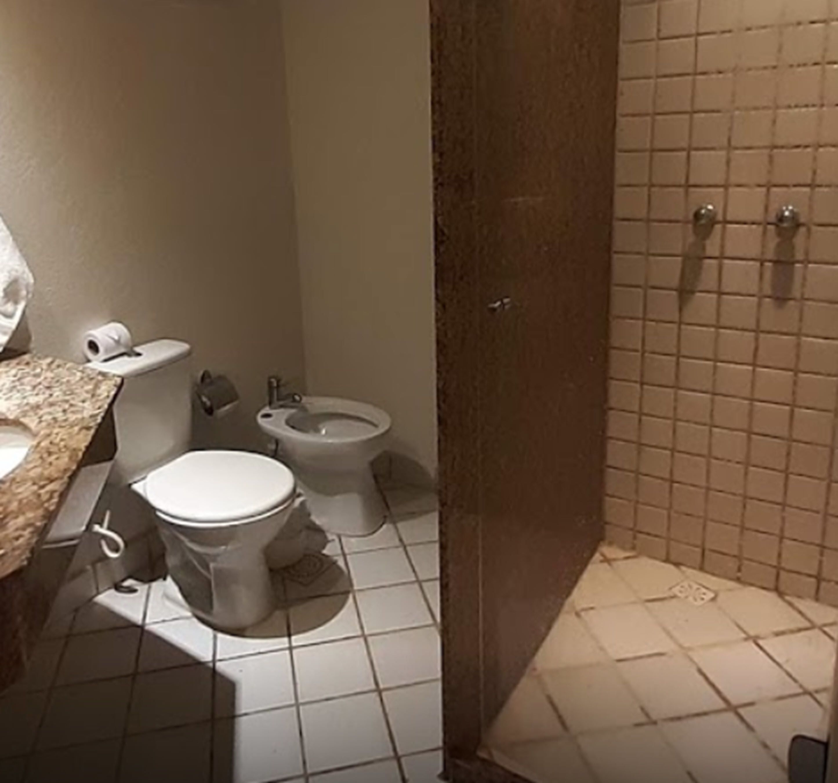 A bathroom with a toilet, bidet, and a shower area.