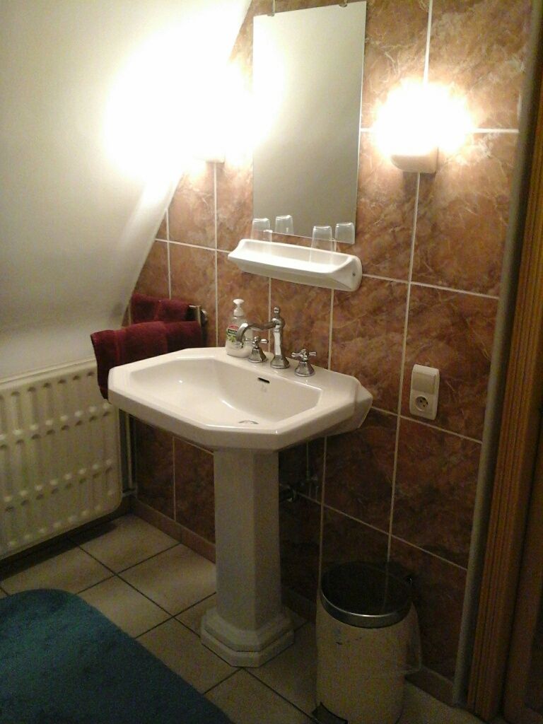 Un baño con lavamanos pedestal, espejo, toallero y cubo de basura.