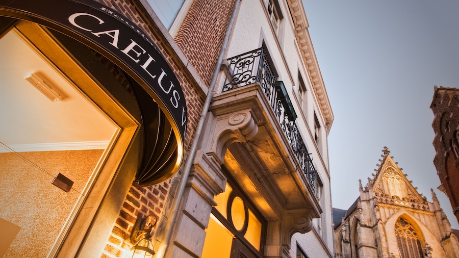 Boutique Hotel Caelus VII