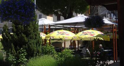 Hotel Les Alpins
