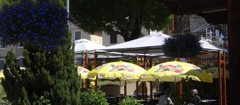 Hotel Les Alpins