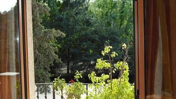 Superior Double Room, 1 Bedroom | View from room