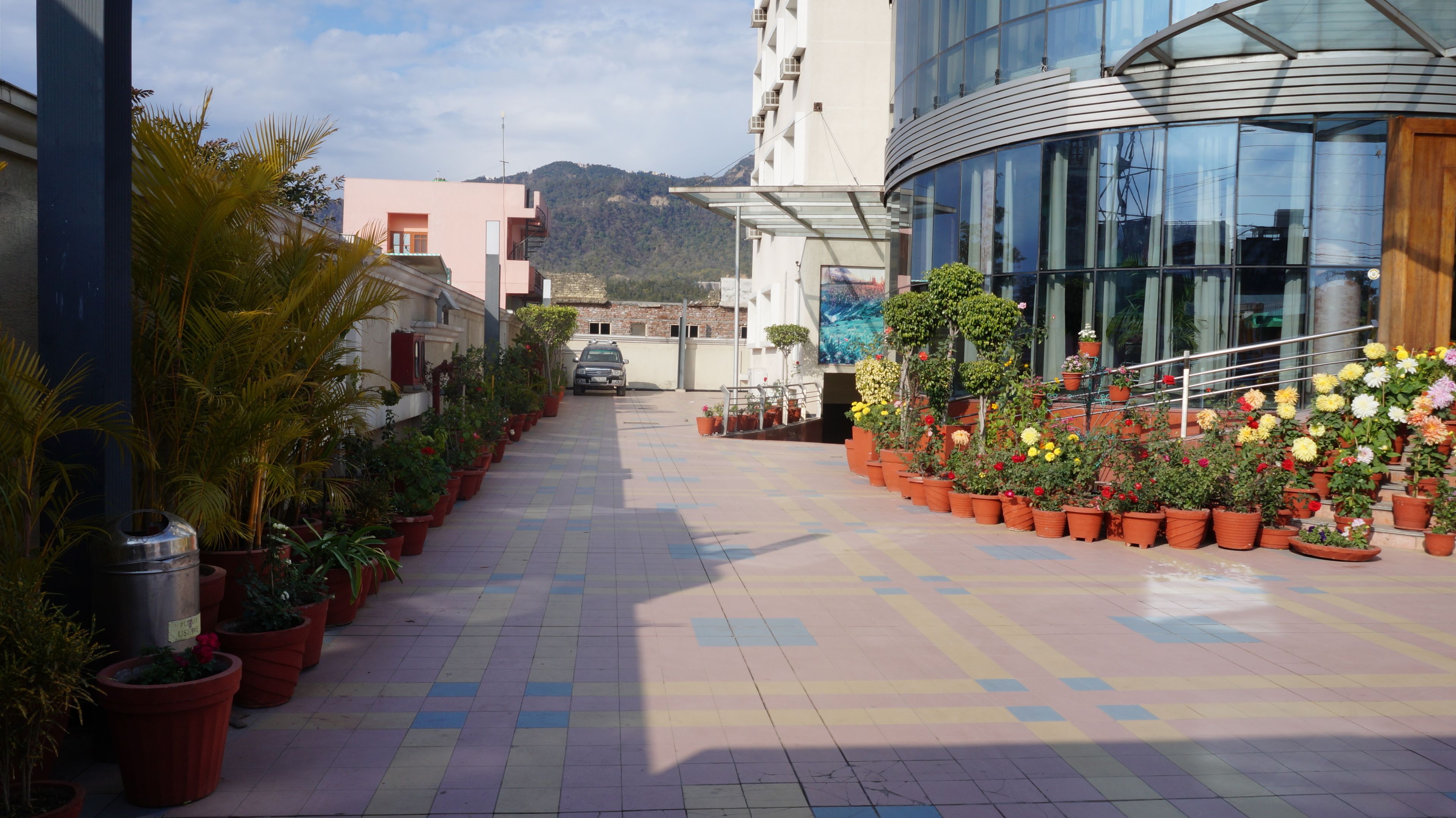 Un sendero bordeado de plantas en macetas que conduce a un edificio con fachada de vidrio.