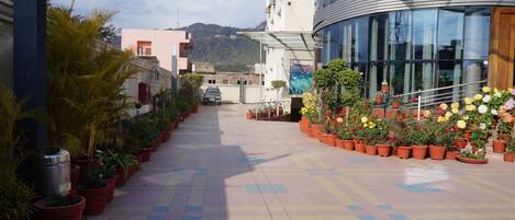 Un sendero bordeado de plantas en macetas que conduce a un edificio con fachada de vidrio.