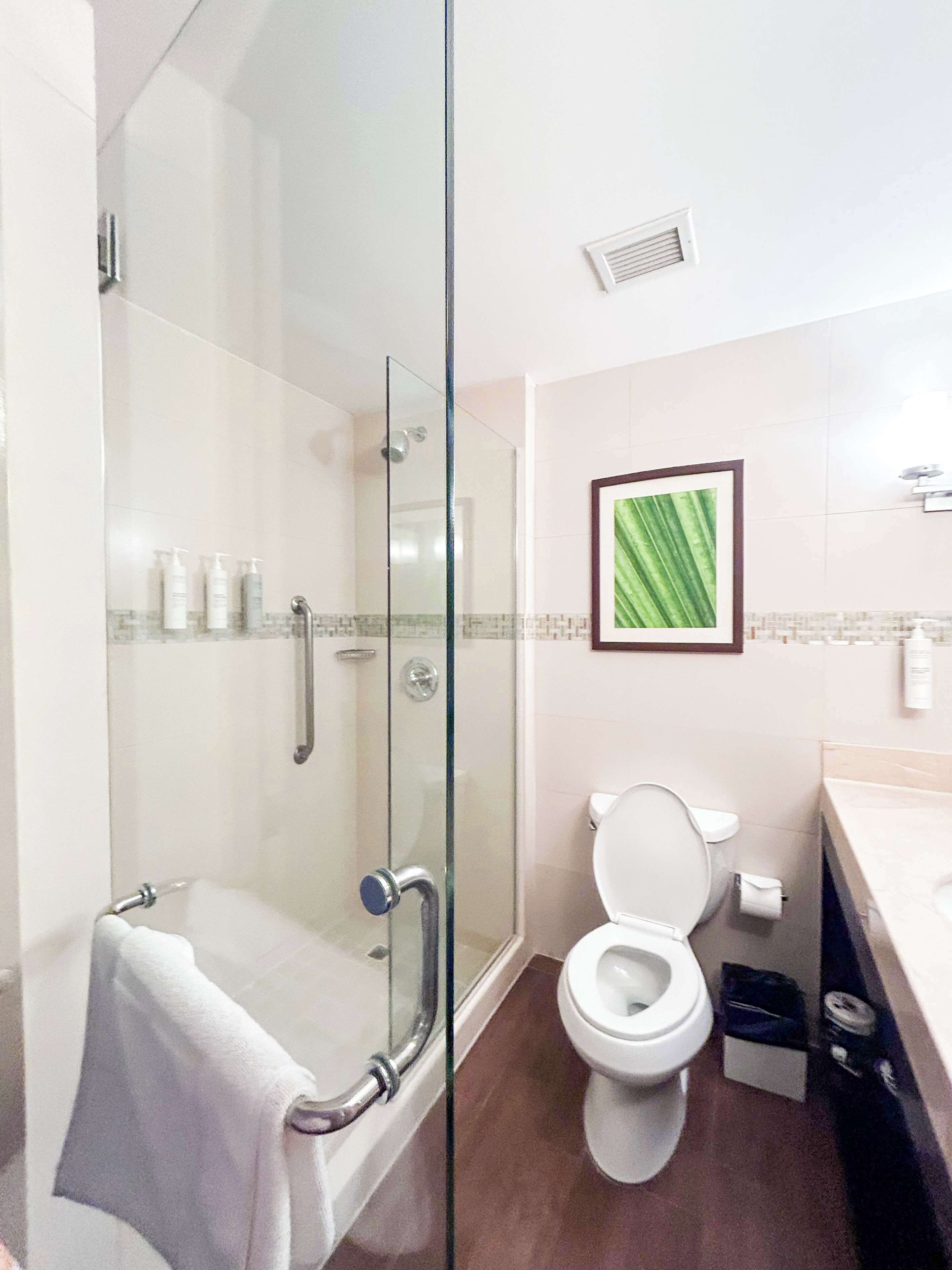 Photo - Hilton Garden Inn Panama City Downtown, Panama