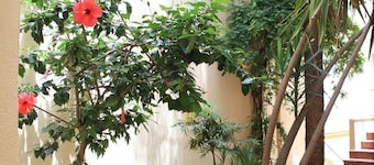 Hotel El Coloso