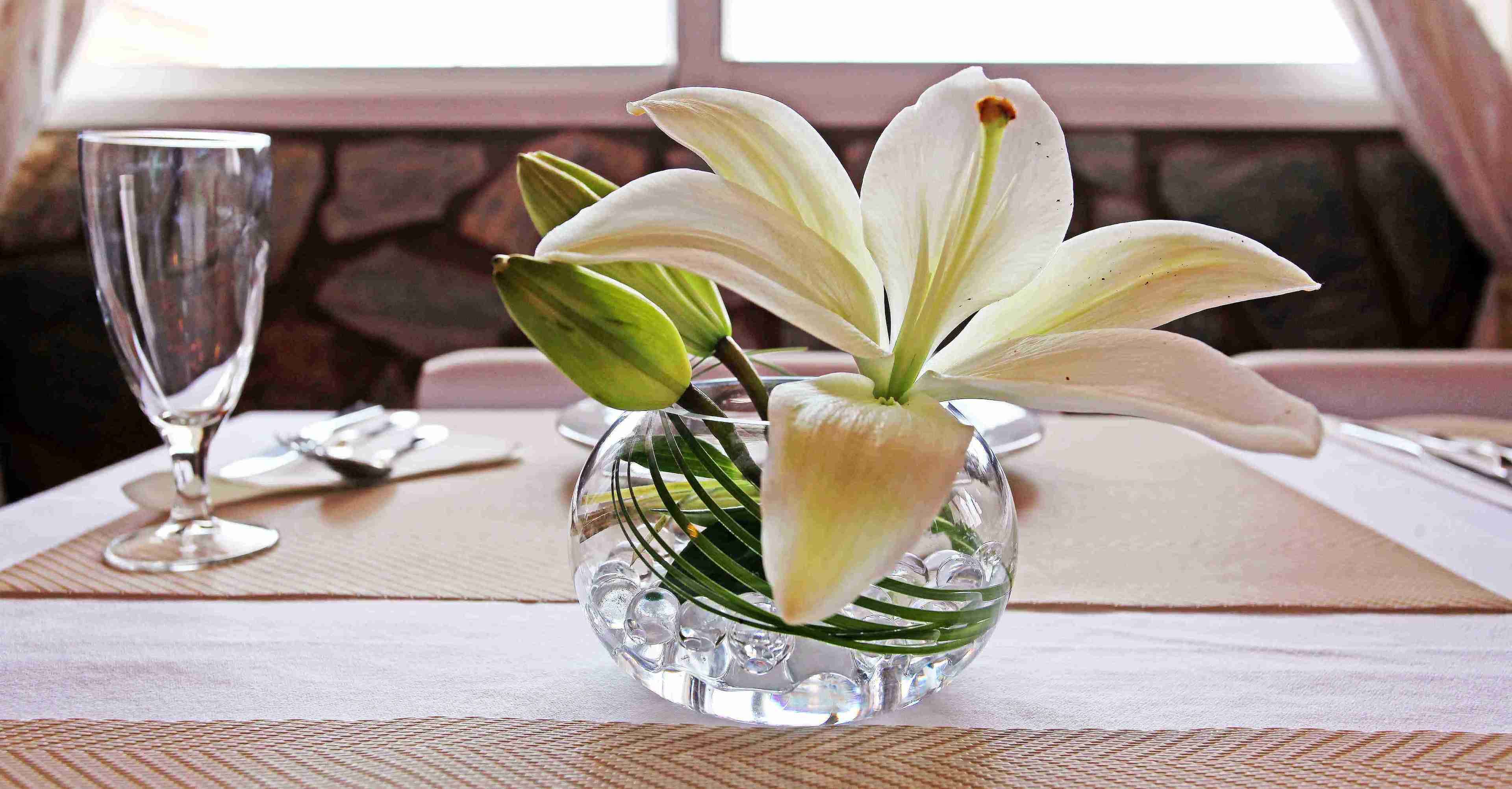 Photo - Hotel Casa Rosa