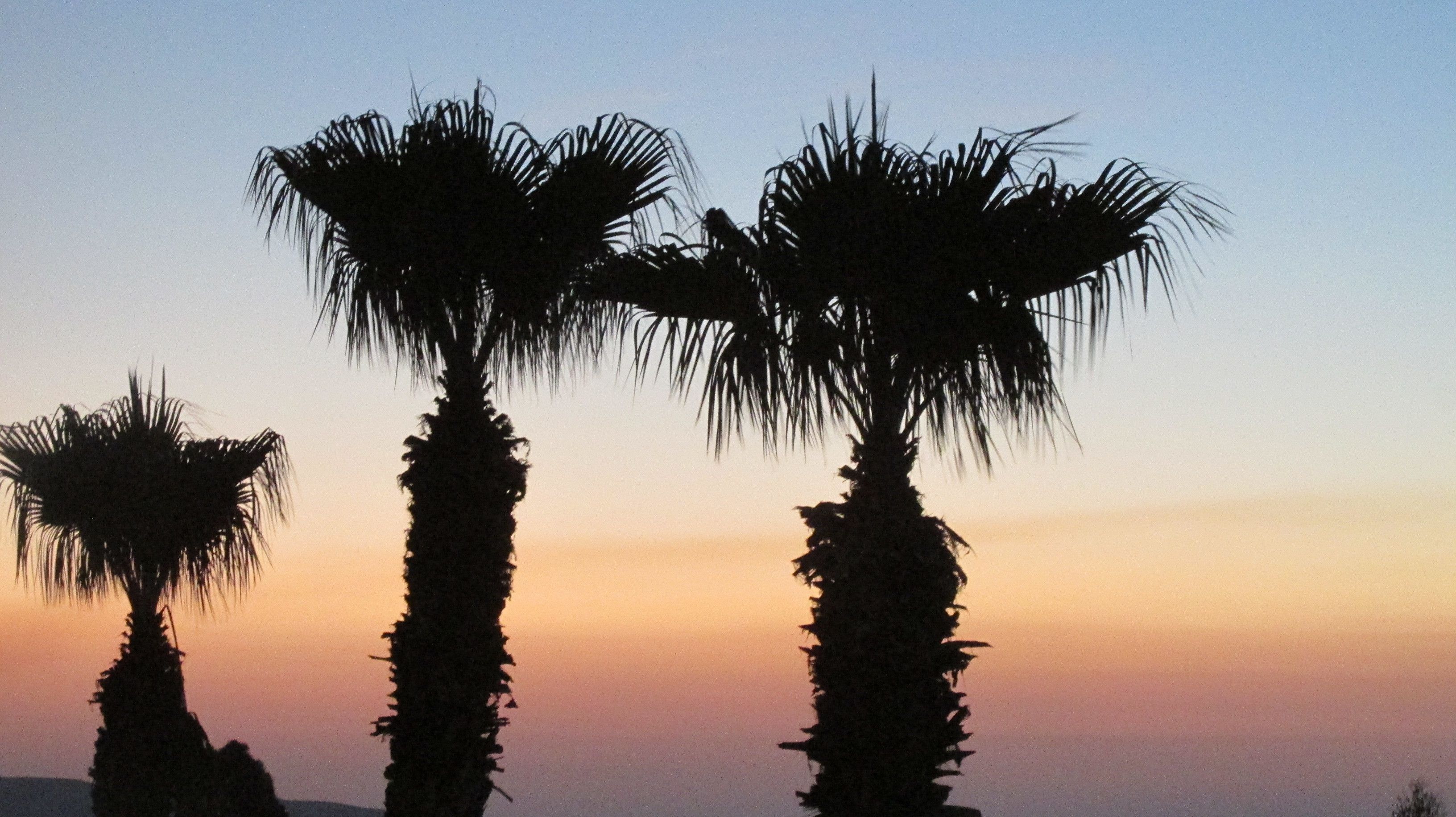 Photo - Pigeon Beach Hotel Apartments