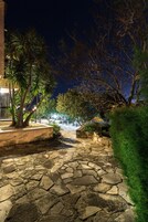 Un sendero de piedra que lleva a un edificio con una palmera y un arbusto.