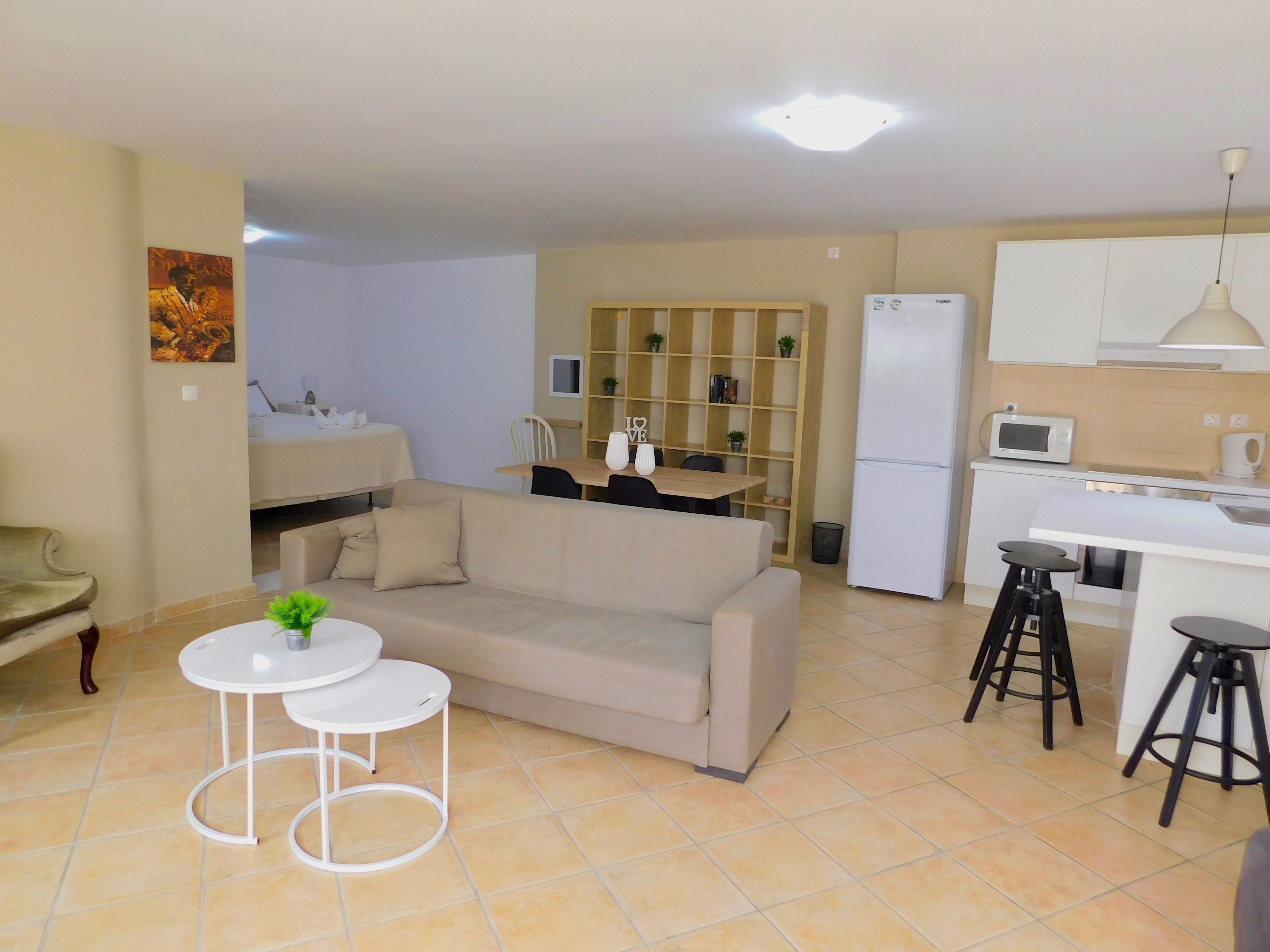 A modern apartment with a living room, kitchenette, and a dining area.