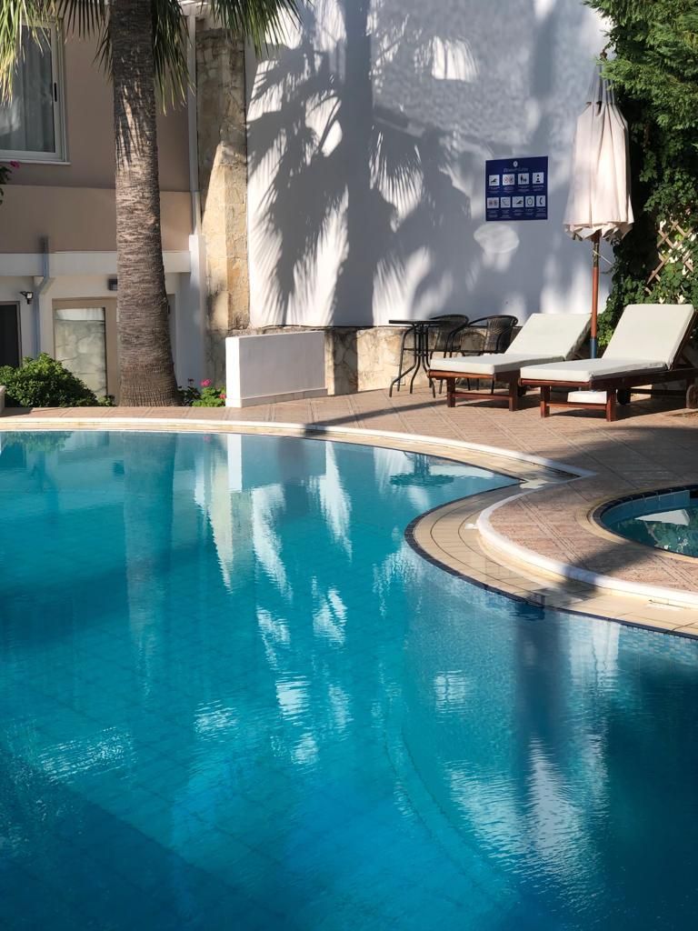 A clear blue pool with lounge chairs and a palm tree.