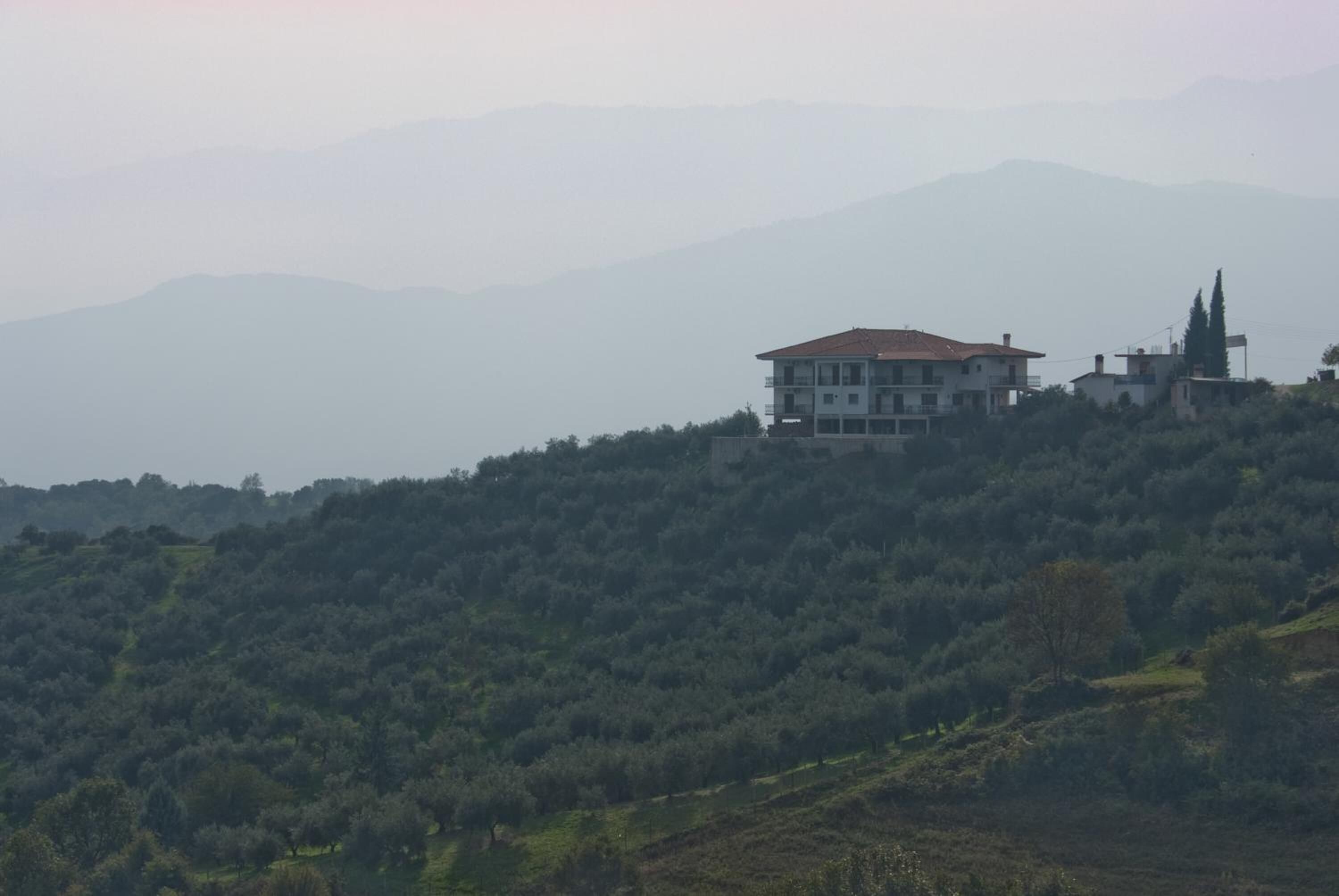 Foto - Guesthouse Arsenis