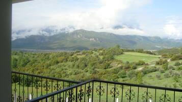 Ein Balkon mit schmiedeeisernem Geländer mit Blick auf eine üppige, grüne Landschaft und Berge in der Ferne.