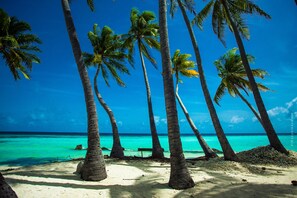 Beach nearby, white sand, free beach cabanas, sun-loungers - Stingray Beach Inn (Maafushi)