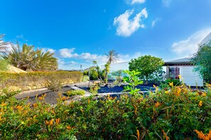 Property grounds - Casa Tomaren (LANZAROTE)