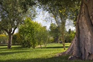 Jardines del alojamiento