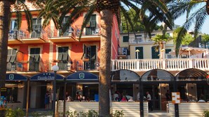 Un hotel con terraza, palmeras y balcón.