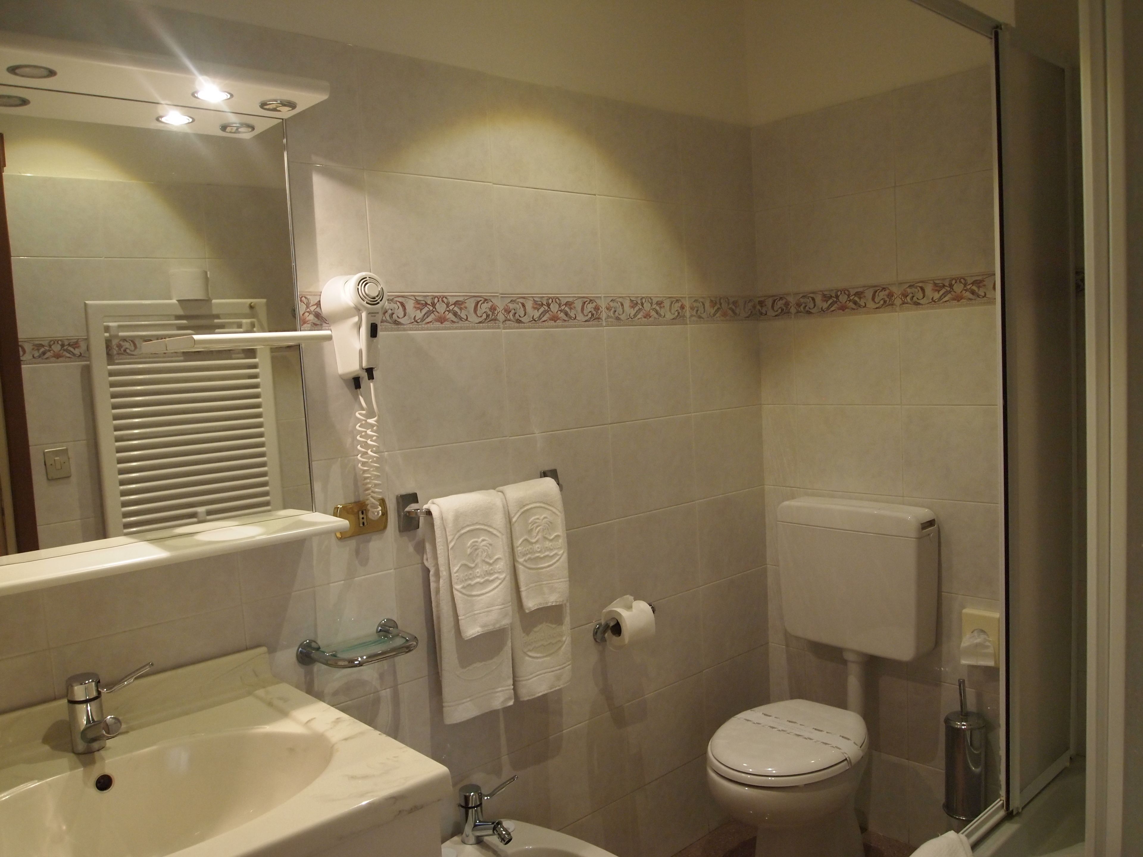 basic room | bathroom | shower, free toiletries, hair dryer, bidet