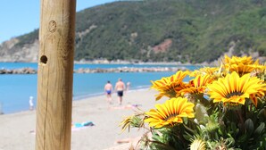 Un poste de madera con un agujero, una playa con gente al fondo y flores amarillas al frente.