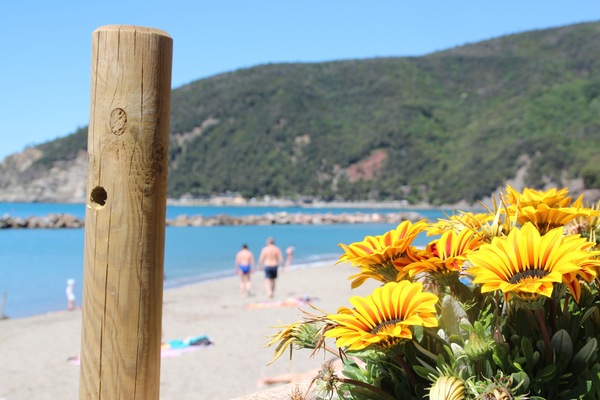 Beach nearby, beach towels