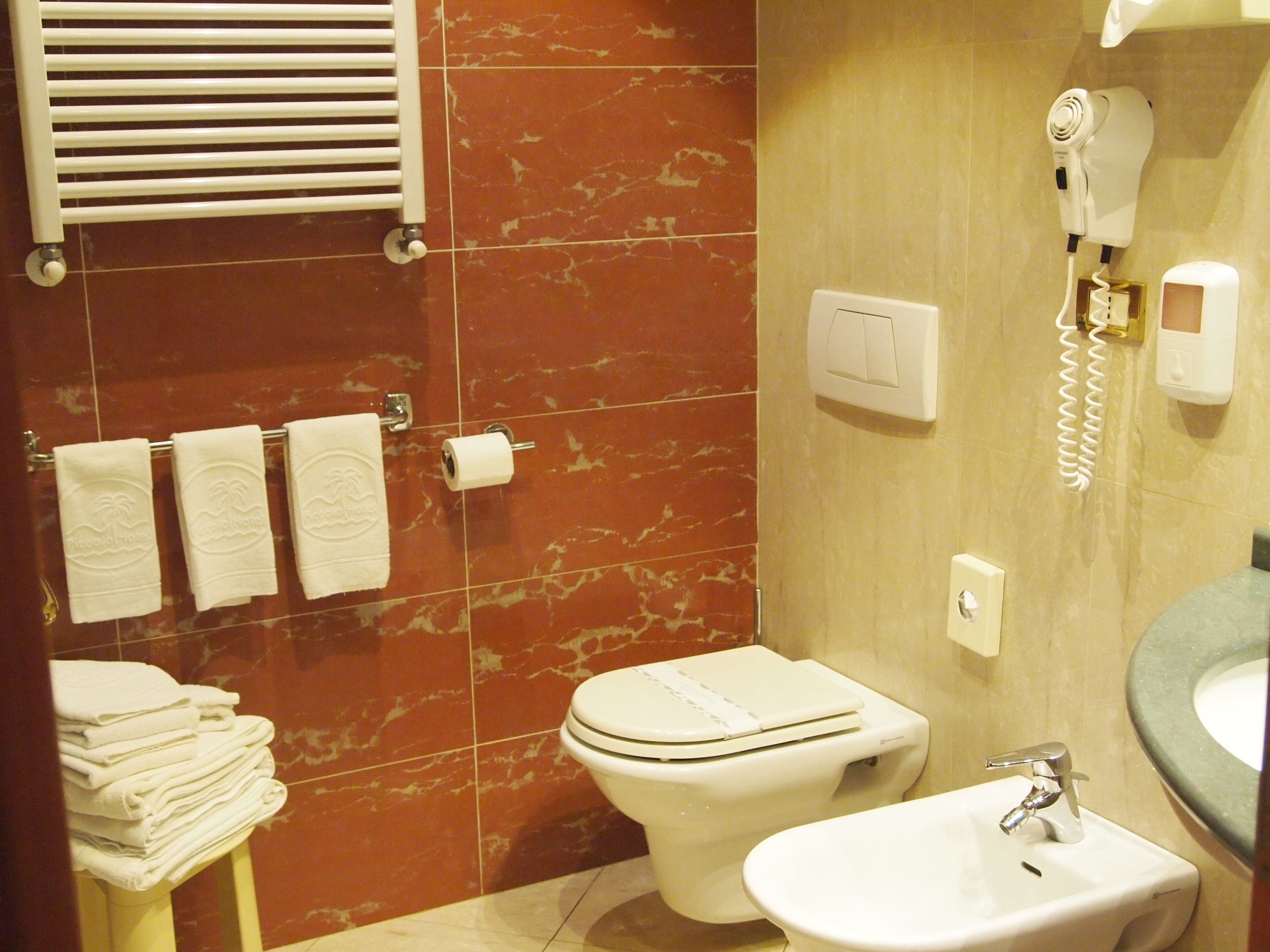 shower, free toiletries, hair dryer, bidet