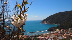 Un pueblo costero con vistas al mar y a las montañas.
