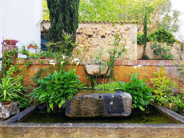 Fountain