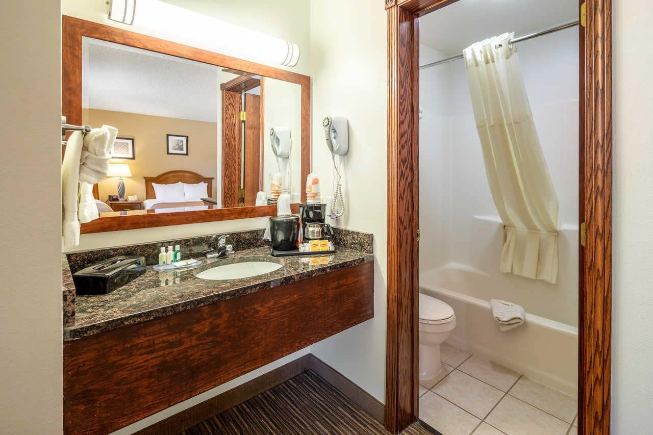 Een hotelbadkamer met een houten wastafel, een grote spiegel, een haardroger, een toilet en een douchegordijn.