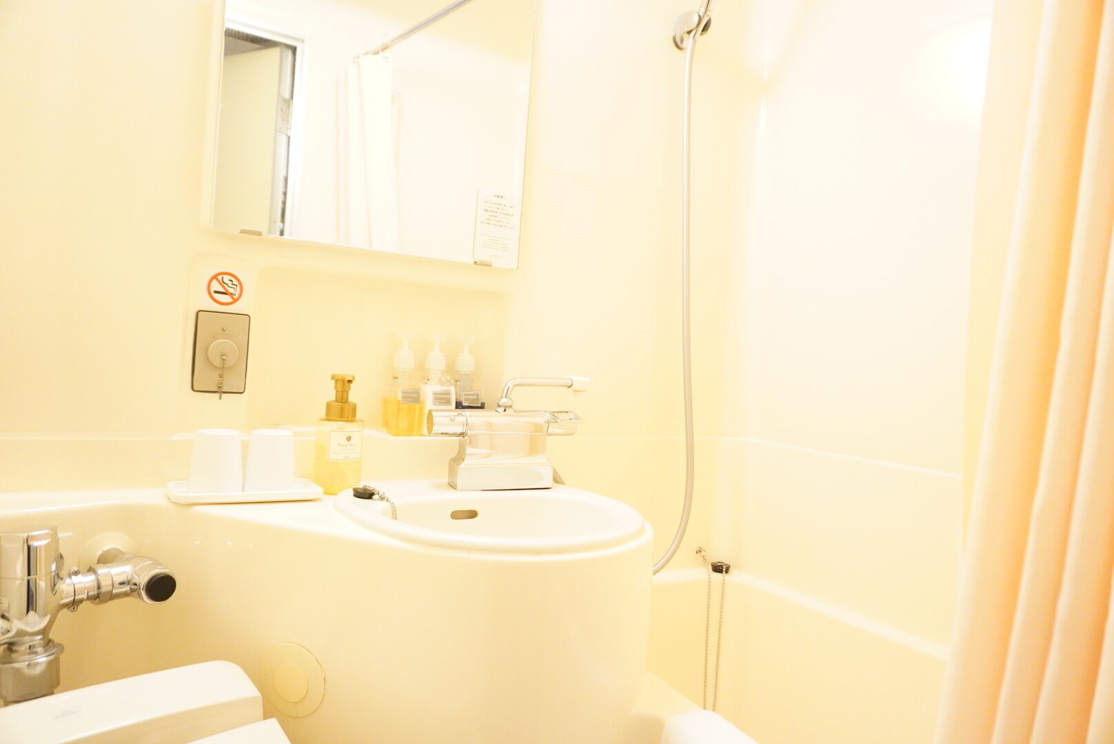 combined shower/bathtub, free toiletries, hair dryer, slippers