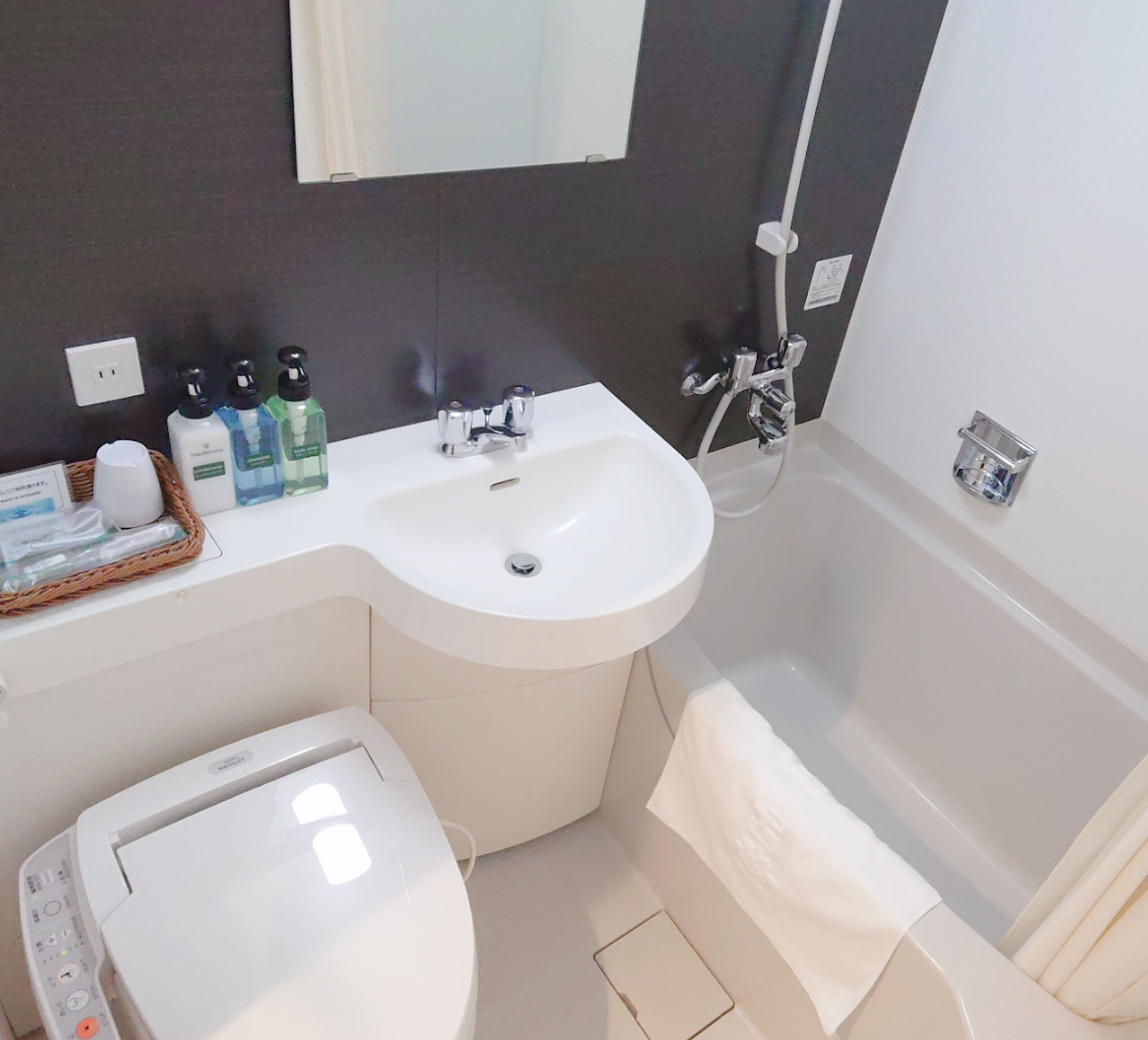 combined shower/bathtub, free toiletries, bathrobes, slippers