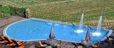 Piscina con sillas de descanso y mesas, rodeada por un jardín ajardinado con hileras de plantas.