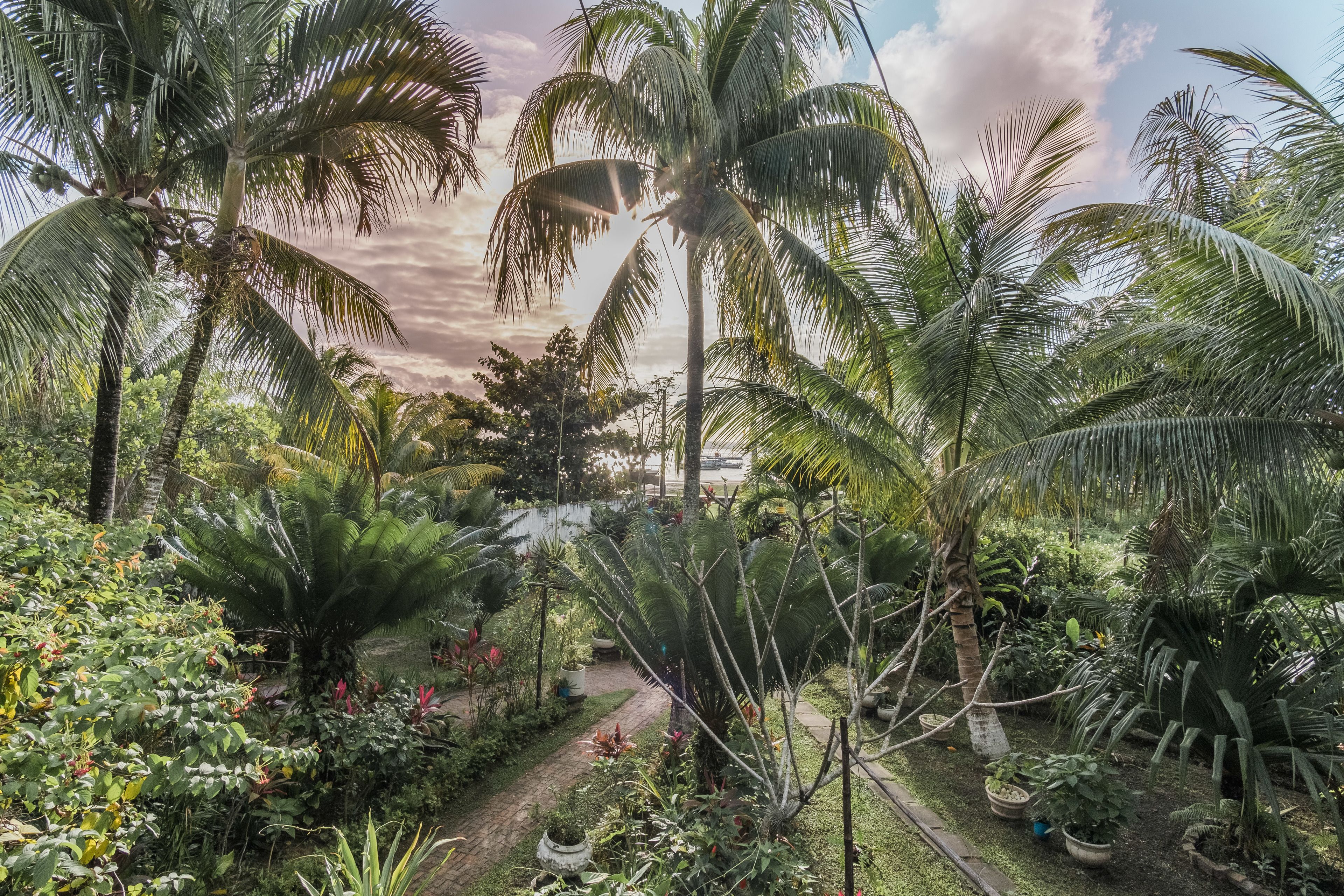 suite vista mar terraço 2/5 pessoas | garden view