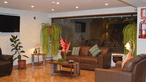 A spacious living area with a brown leather sofa, a coffee table with decorative items, and various potted plants. - Florida del Inca Hotel (Cusco)