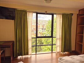 Standard Double Room | View from room