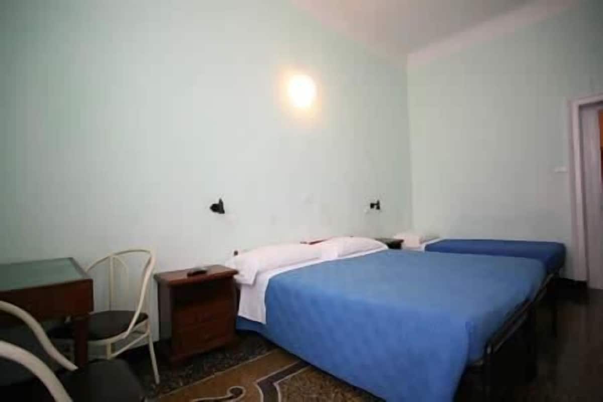 Premium bedding, desk, iron/ironing board, rollaway beds