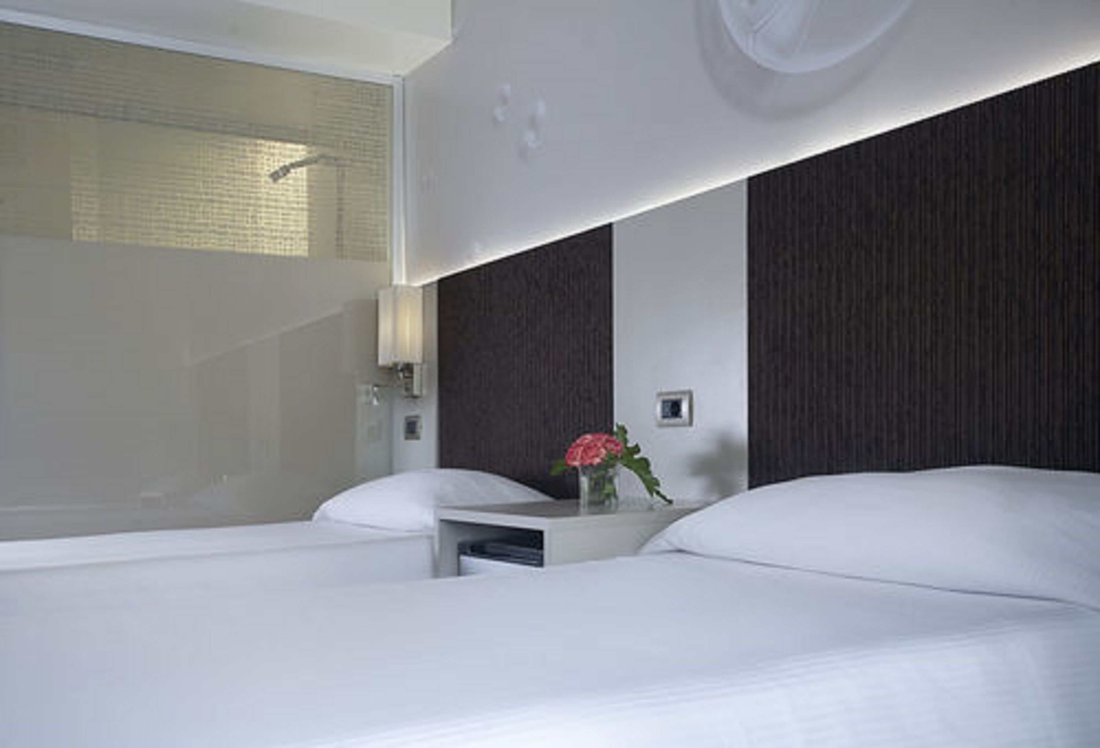 standard room, 2 single beds | 1 bedroom, hypo-allergenic bedding, down duvets, minibar