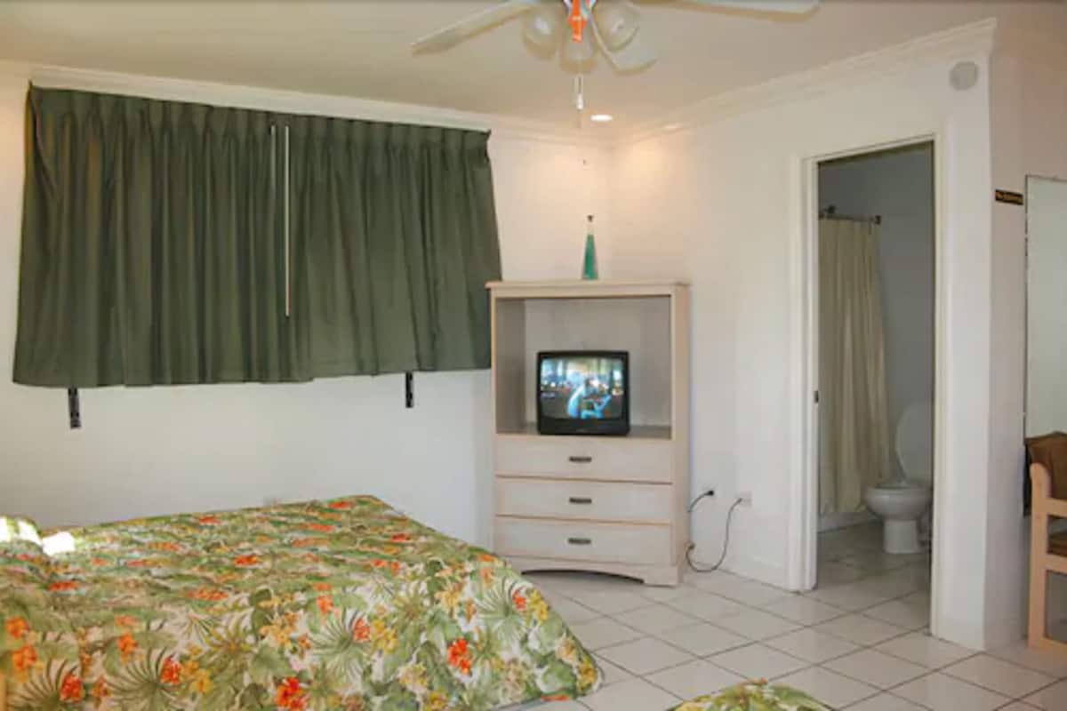 A bedroom with a bed, a television on a cabinet, a bathroom door, and a ceiling fan.