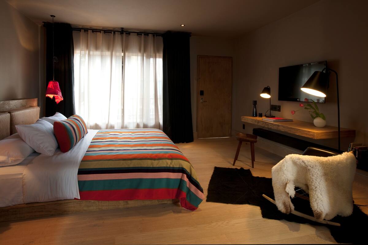 Une chambre à coucher avec un lit, un bureau, une chaise, une télévision et un adorable chien blanc à la fourrure douce.