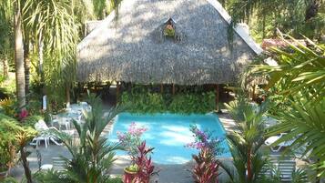 Outdoor pool, sun loungers