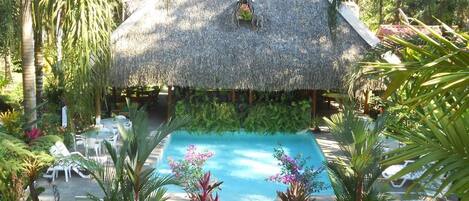 Outdoor pool, sun loungers