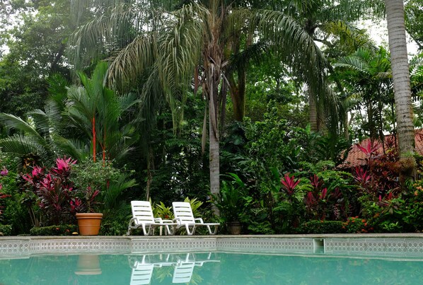 Outdoor pool, sun loungers