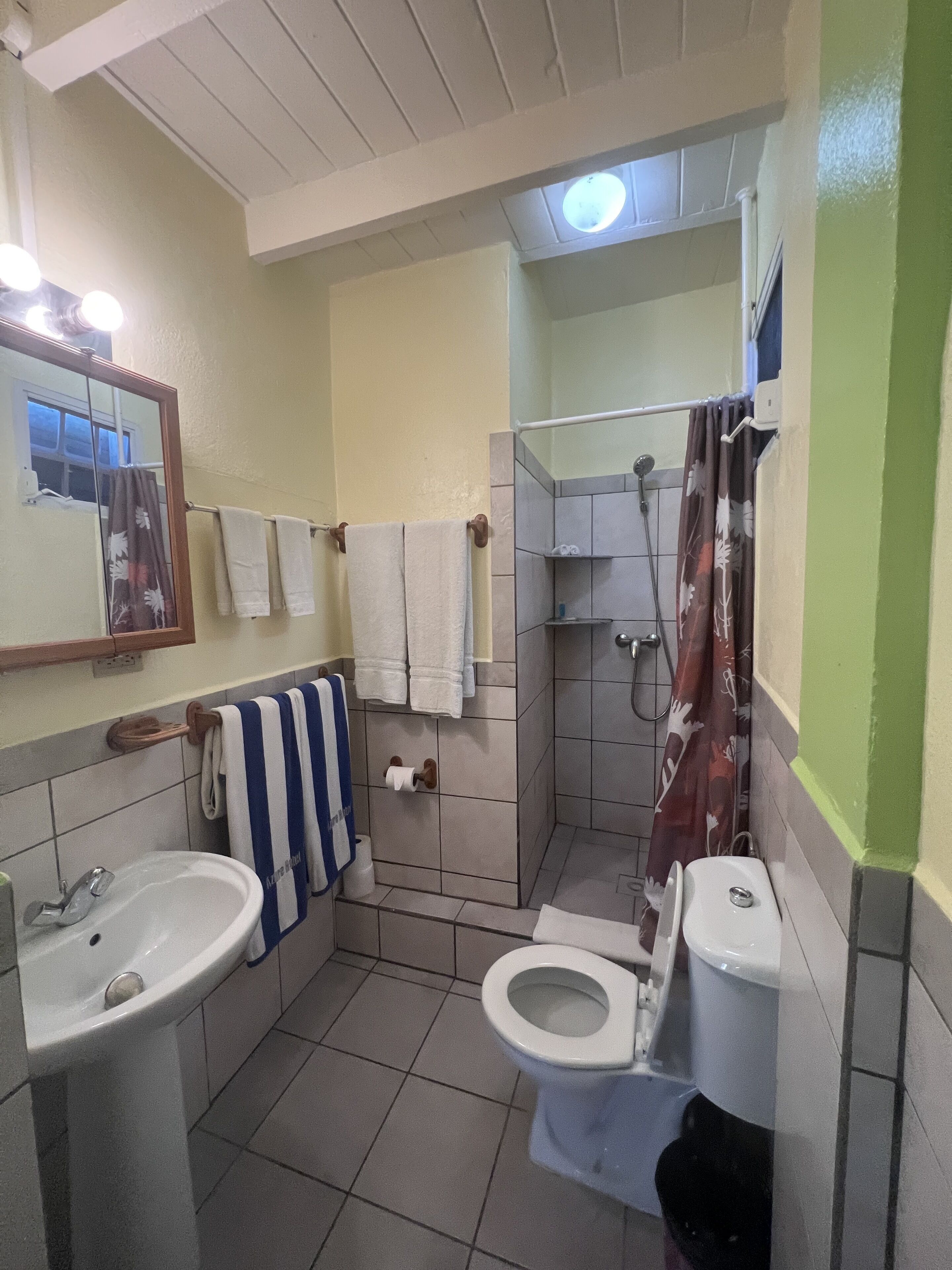 Et badeværelse med vask, toilet, bruser og et spejl.