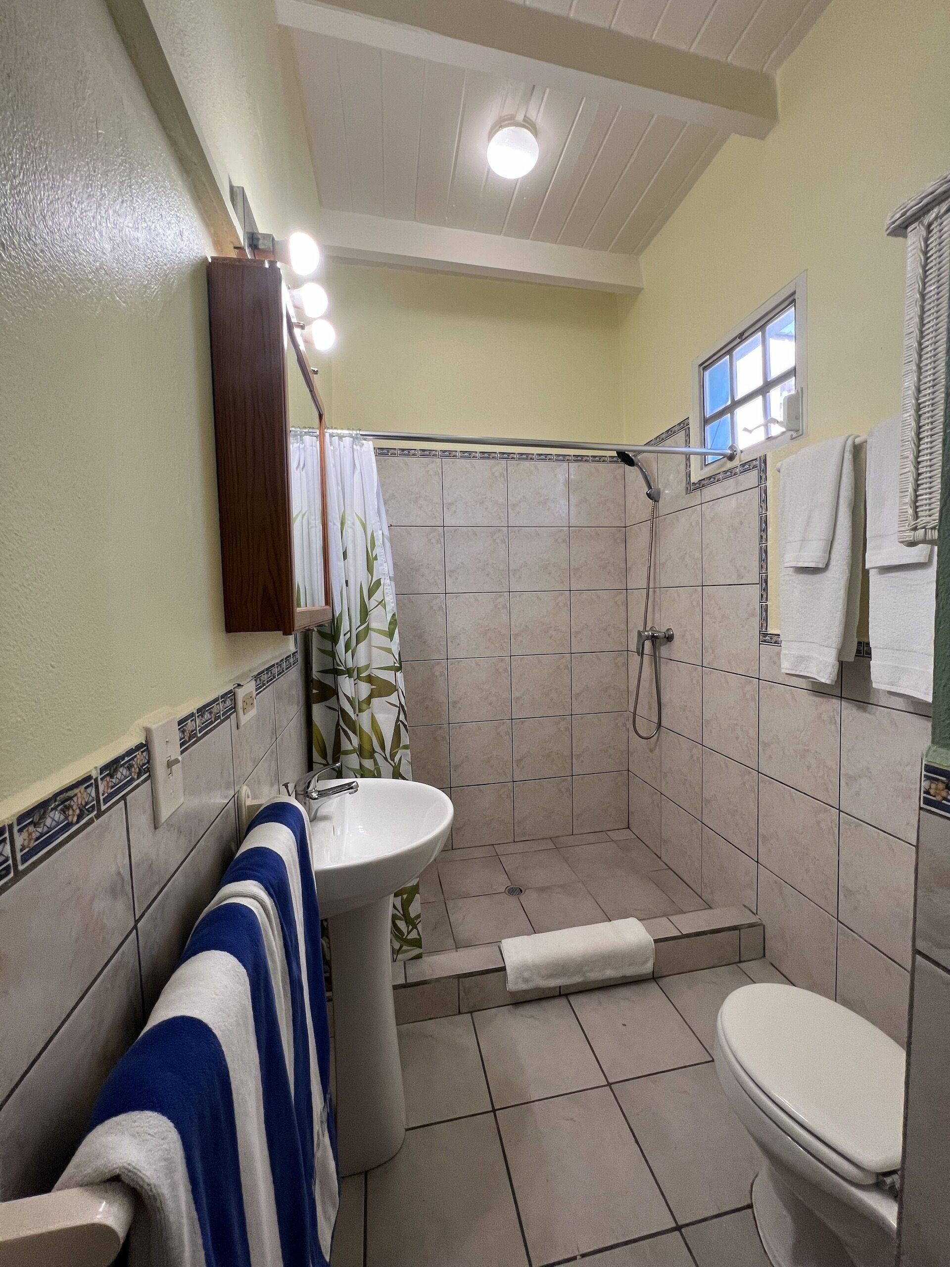 Tropical Suite | Bathroom | Shower, free toiletries, towels