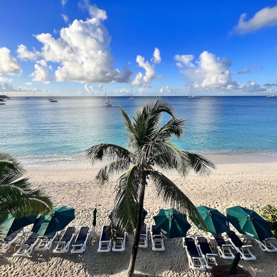 A beach with lounge chairs and umbrellas, a palm tree, and boats in the water.