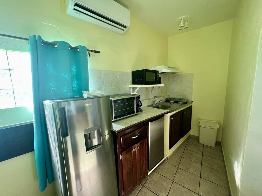 Una cocina compacta equipada con refrigerador, microondas, tostadora, pileta y alacenas.